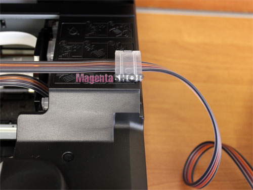 Закрепляем шлейф в правой части печатающего устройства