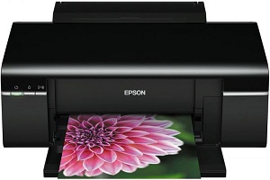 Внешний вид принтера Epson Stylus Photo T50